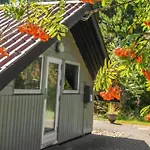Bv375-blavand-fyrrevaenget-11 *