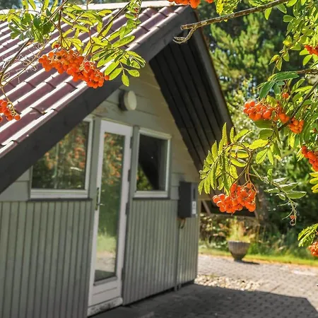 Dom wakacyjny Bv375-blavand-fyrrevaenget-11 *