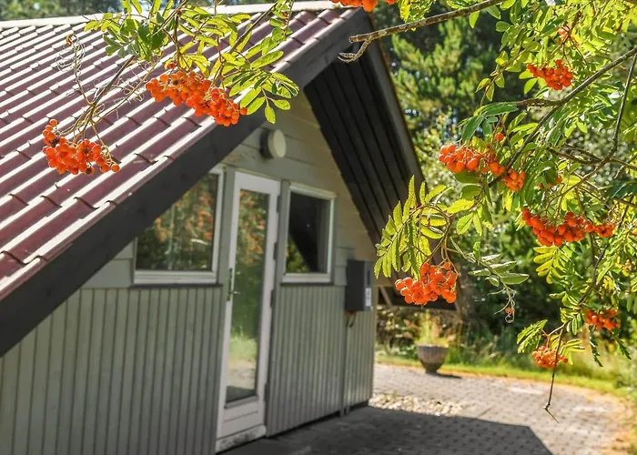 Bv375-blavand-fyrrevaenget-11 *