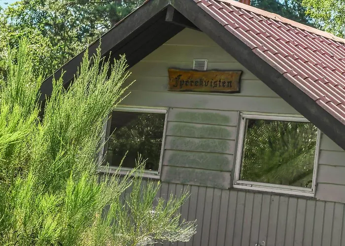 Дом отдыха Bv375-blavand-fyrrevaenget-11 *